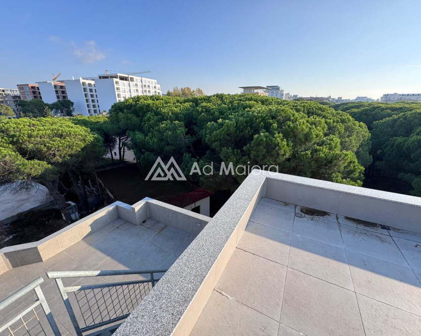 SHITET PAPFINGO NE MALIN E ROBIT